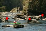 www.canoamartesana.it_canoa_kayak_milano_galleria_1_campo_slalom_nunzio_mortelliti_semovente_italiano_foto_3