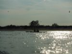 www.canoamartesana.it_canoa_kayak_milano_galleria_delta_po__2_foto_5