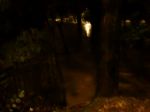 www.canoamartesana.it_canoa_kayak_milano_galleria_lambro_straripa_a_milano_foto_2