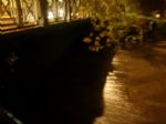 www.canoamartesana.it_canoa_kayak_milano_galleria_lambro_straripa_a_milano_foto_4