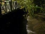 www.canoamartesana.it_canoa_kayak_milano_galleria_lambro_straripa_a_milano_foto_7