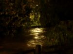 www.canoamartesana.it_canoa_kayak_milano_galleria_lambro_straripa_a_milano_foto_9